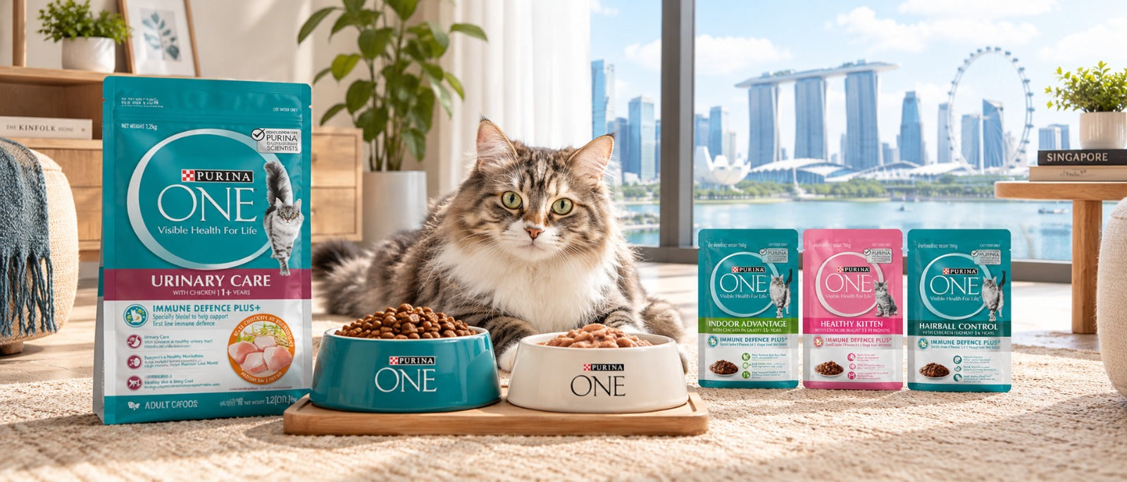 Purina ONE dry and wet cat food feeding bowl setup in Singapore.