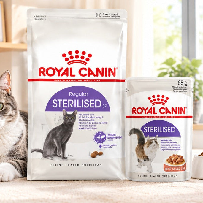 Royal Canin Sterilised 37 dry cat food bag and wet pouch for indoor cats in Singapore