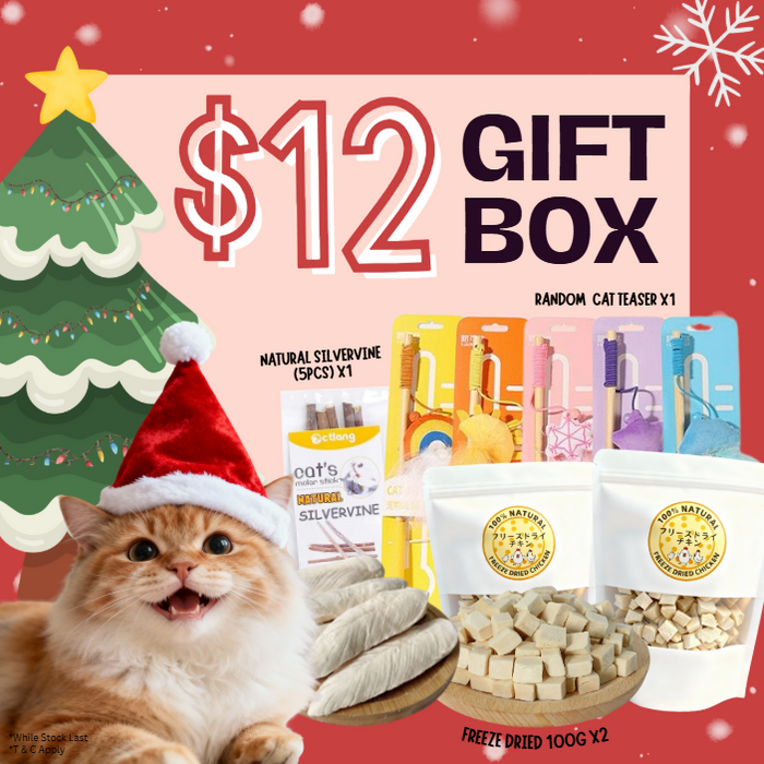 [LIMITED TIME 12.12] $12 Cat Box