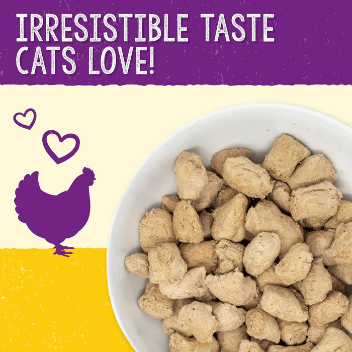 Stella & Chewy's Cat Freeze Dried Dinner Morsels Chick, Chick, Chicken 18oz