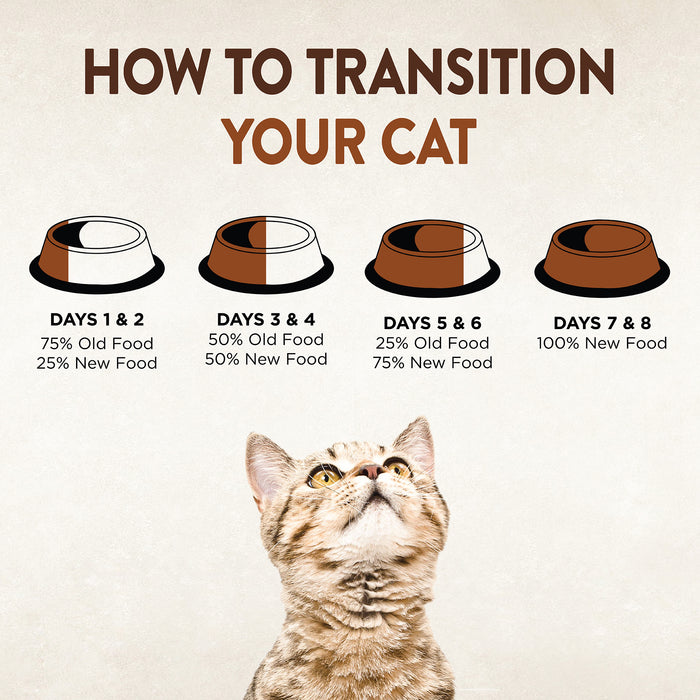 ✅B4F1 CIAO! Wellness CORE Tiny Tasters for Cats: Flaked Tuna & Salmon Recipe in Broth 1.75oz