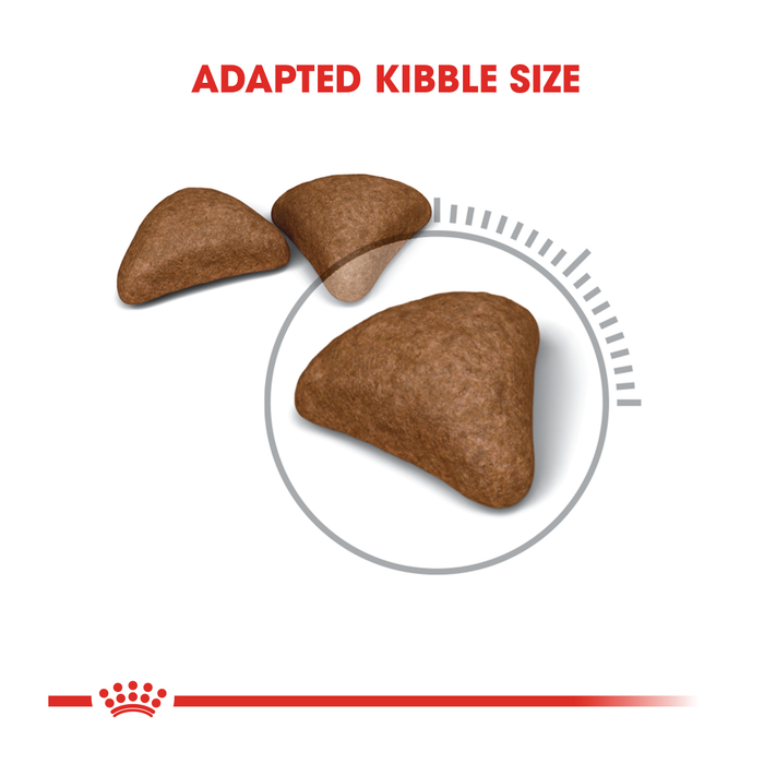 Royal Canin Hairball Dry Cat Food 2kg