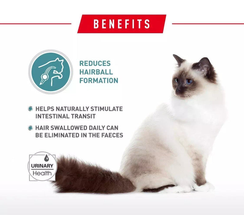Royal Canin Hairball Dry Cat Food 2kg