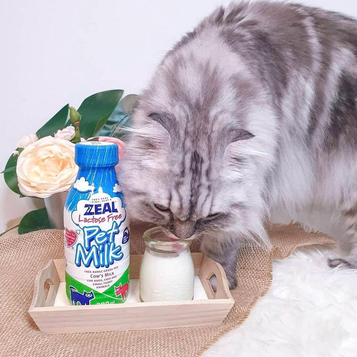Zeal Lactose-Free Pet Milk 1L