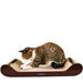 60cm Brown with Toy Cat Scratch Board - Durable Recyclable Cardboard with Catnip - Neko.SG