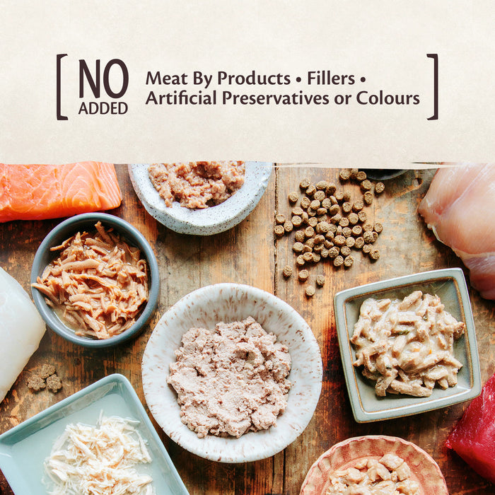 ✅B4F1 CIAO! Wellness CORE Tiny Tasters for Cats: Smooth Pâté Chicken Recipe 1.75oz