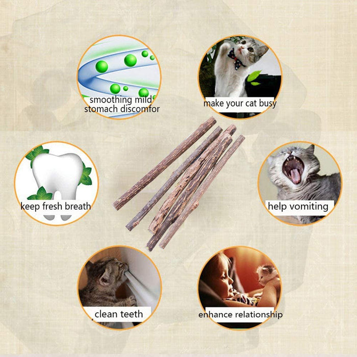 Natural Silvervine Chew Sticks for Cats