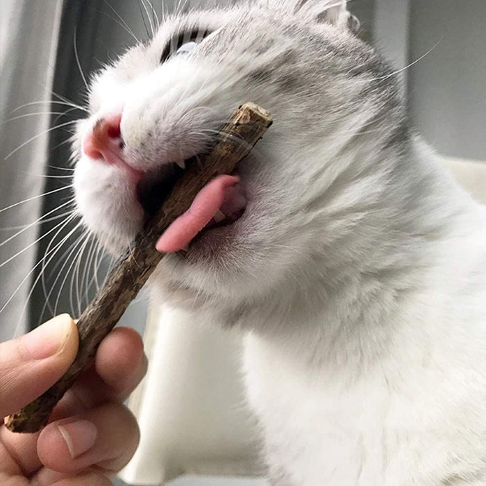 Natural Silvervine Chew Sticks for Cats