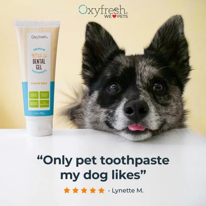 Oxyfresh Pet Dental Gel Toothpaste 4oz/113g