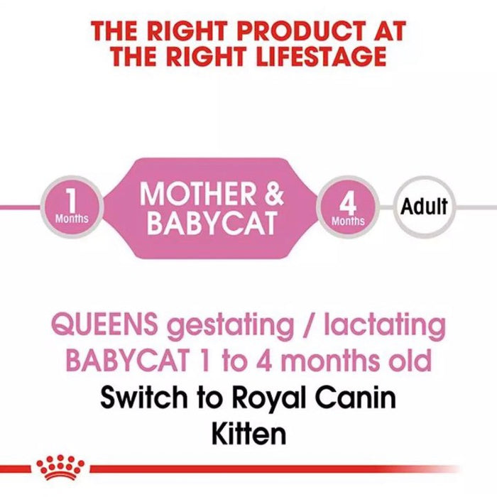 Royal Canin Mother and Baby Cat Dry Food 2kg
