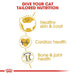 Royal Canin Ragdoll Dry Cat Food 2kg