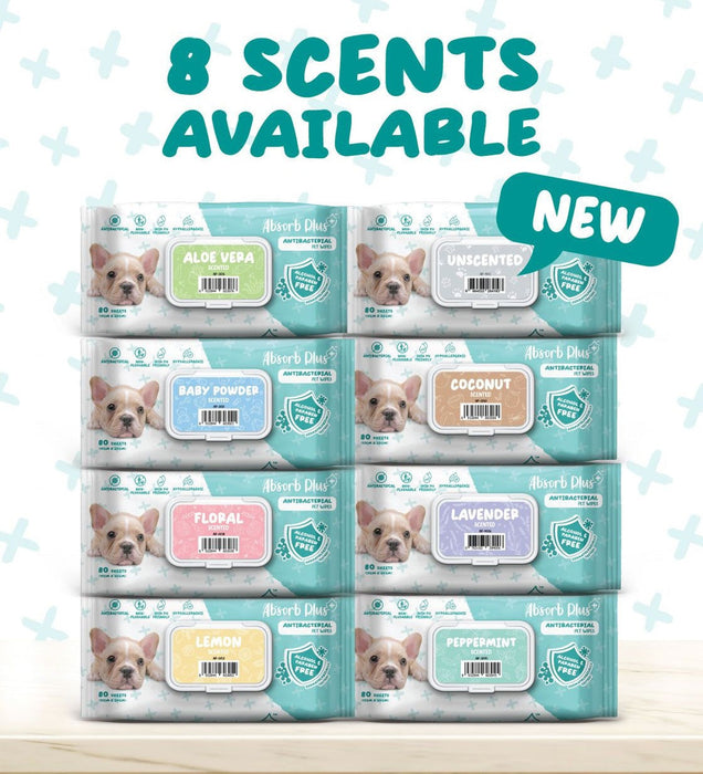 Absorb Plus AntiBacterial Pet Wipes Peppermint 15cm x 20cm - 80sheets