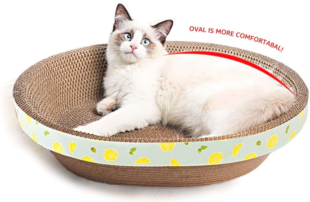 58cm Oval Shape Cat Scratching Board & Bowl Bed Pet Scratcher