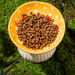 Minimalist ceramic pet food and water bowl featuring a modern Red Mushroom design with a 300ml capacity