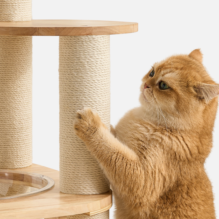 139cm Sierra Stretch & Scratch Solid Wood Cat Tower