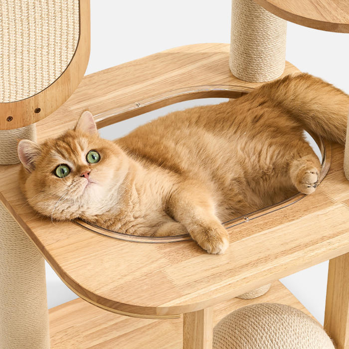 139cm Sierra Stretch & Scratch Solid Wood Cat Tower