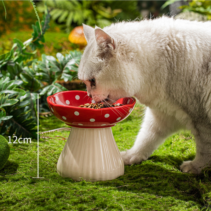 Pet Bowl (Black Mushroom) – 300ml Microwave & Dishwasher Safe