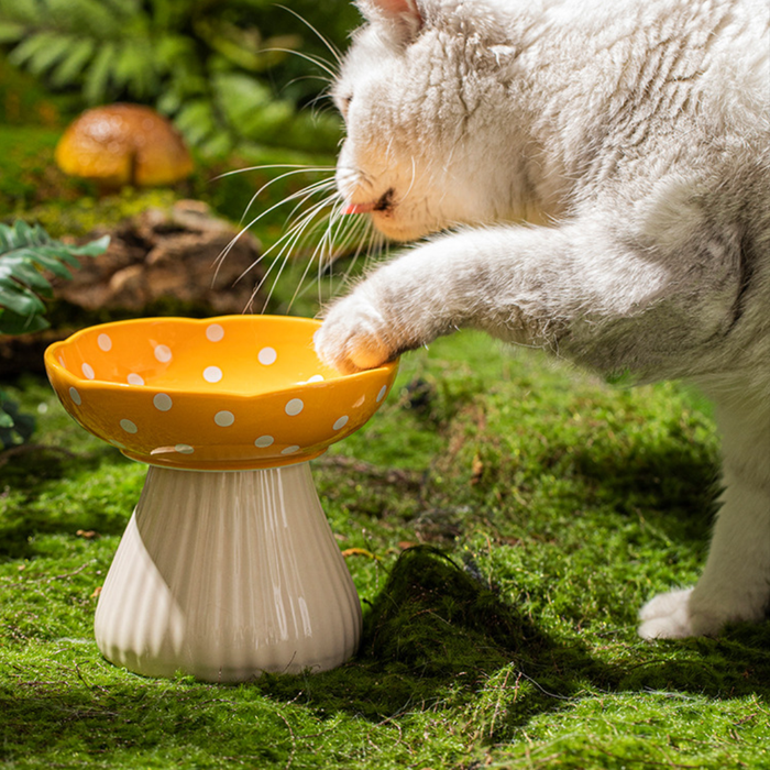 Pet Bowl (Black Mushroom) – 300ml Microwave & Dishwasher Safe