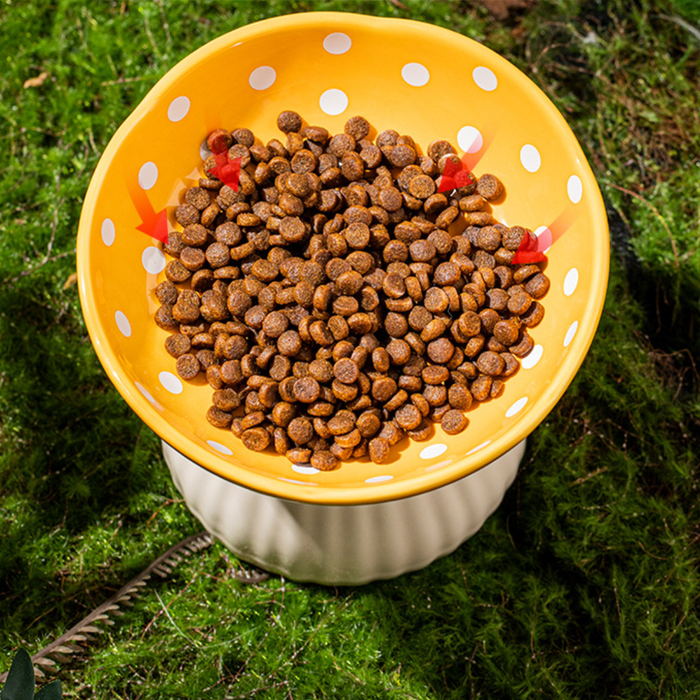 Pet Bowl (Black Mushroom) – 300ml Microwave & Dishwasher Safe
