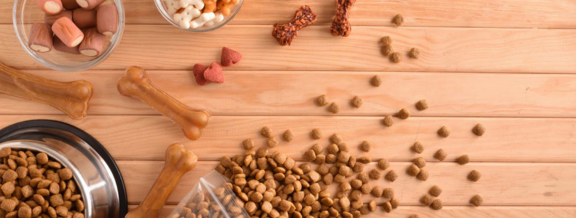 7 Essential Foods Every Pet Should Have in Their Diet