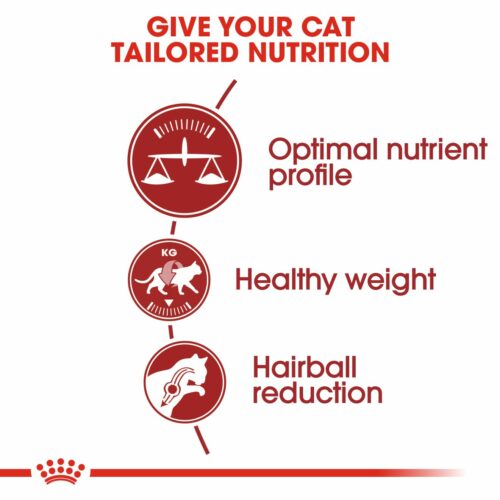 Royal Canin Fit 32 Adult Dry Cat Food 4kg