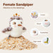 Magipaws Touch Activated Flapping Chirping Sandpiper Bird with Catnip - Neko.SG