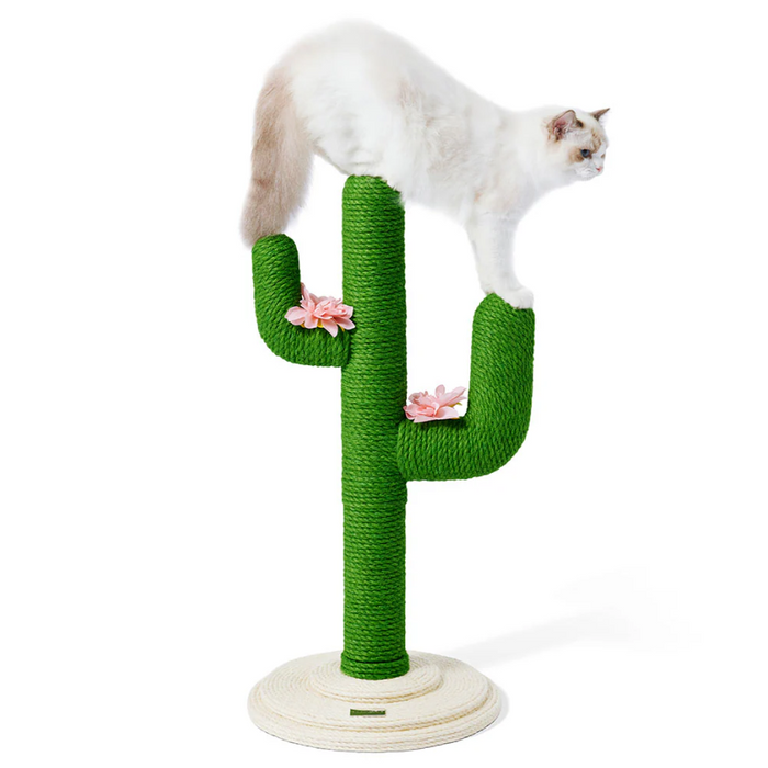 80cm VETRESKA Oasis Cactus Mini Cat Tree