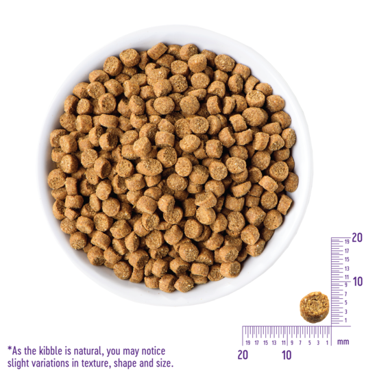 Wellness CORE Grain-Free Kitten: Deboned Turkey, Turkey Meal & Deboned Chicken Dry Cat Food 5lbs