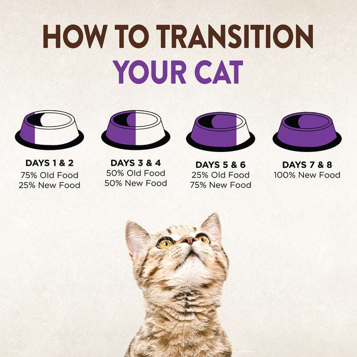 Wellness CORE Grain-Free Kitten: Deboned Turkey, Turkey Meal & Deboned Chicken Dry Cat Food 5lbs