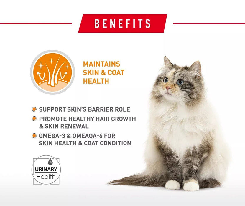 Royal Canin Hair & Skin Dry Cat Food 2kg