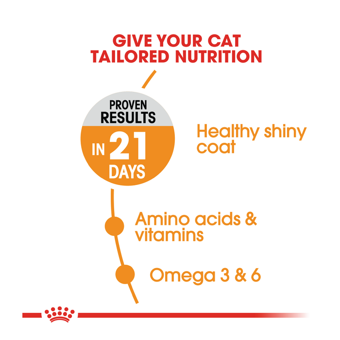 Royal Canin Hair & Skin Dry Cat Food 2kg
