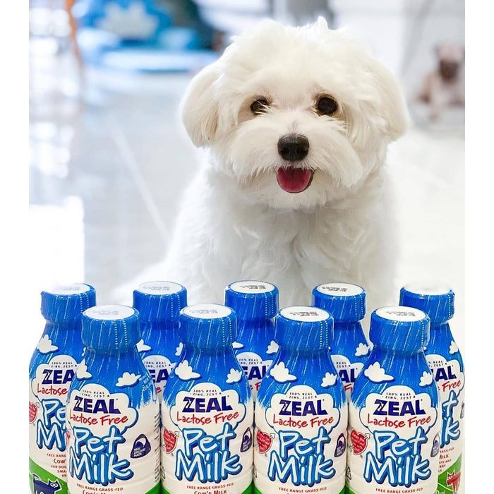 Zeal Lactose-Free Pet Milk 1L