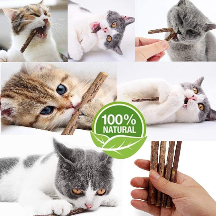 Natural Silvervine Chew Sticks for Cats