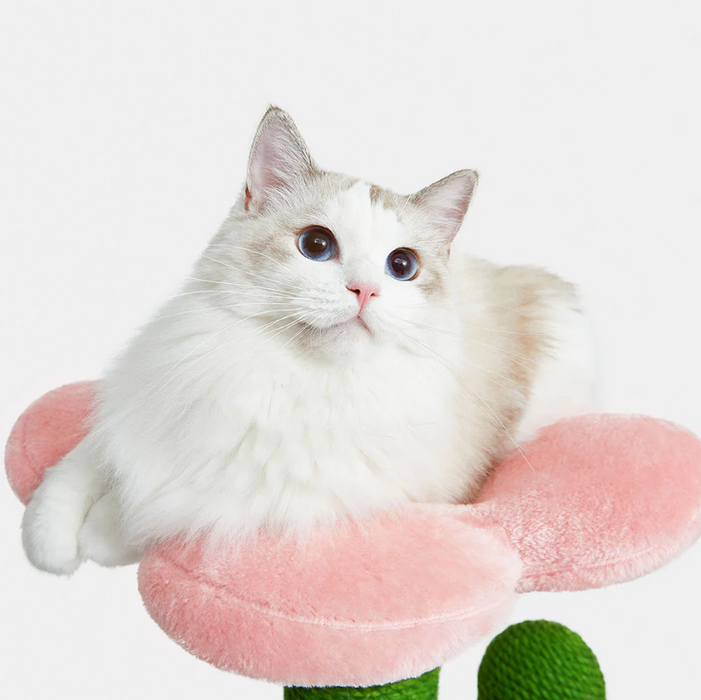 105cm VETRESKA Blooming Cactus Cat Tree