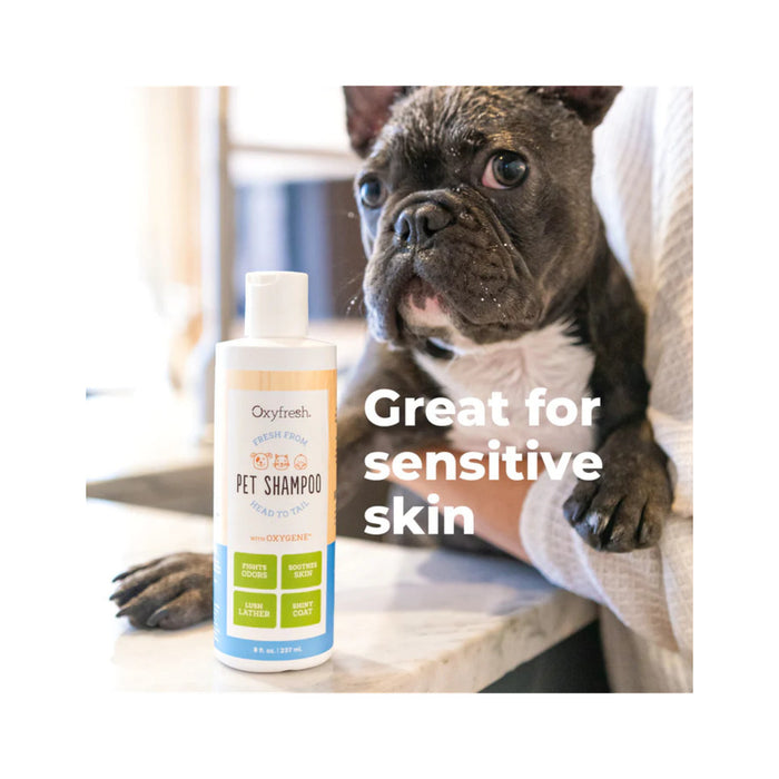 Oxyfresh Shiny Coat Anti-Itch Cats & Dogs Shampoo Gentle Formula Sensitive Skin 8oz / 237ml