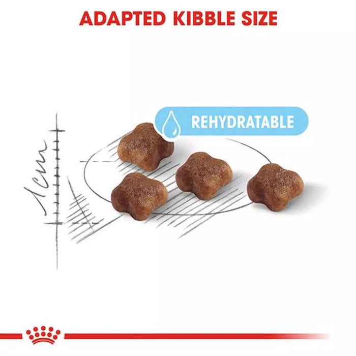 Royal Canin Mother and Baby Cat Dry Food 2kg