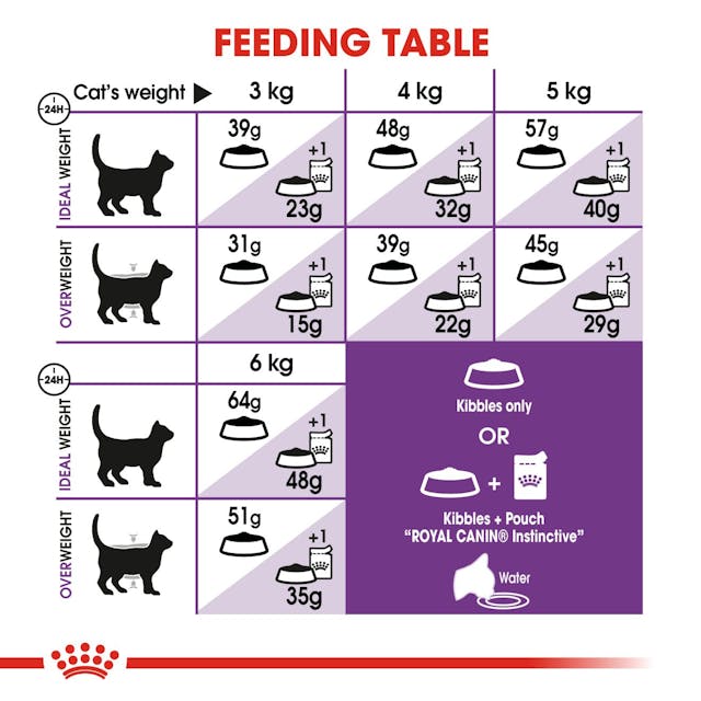 Royal Canin Regular Sensible 33 Dry Cat Food 4kg