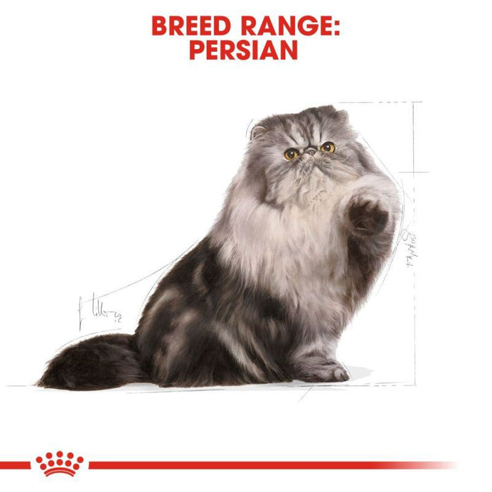 Royal Canin Persian Ault Dry Cat Food 4kg