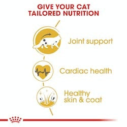 Royal Canin Maine Coon Adult Dry Cat Food 2kg