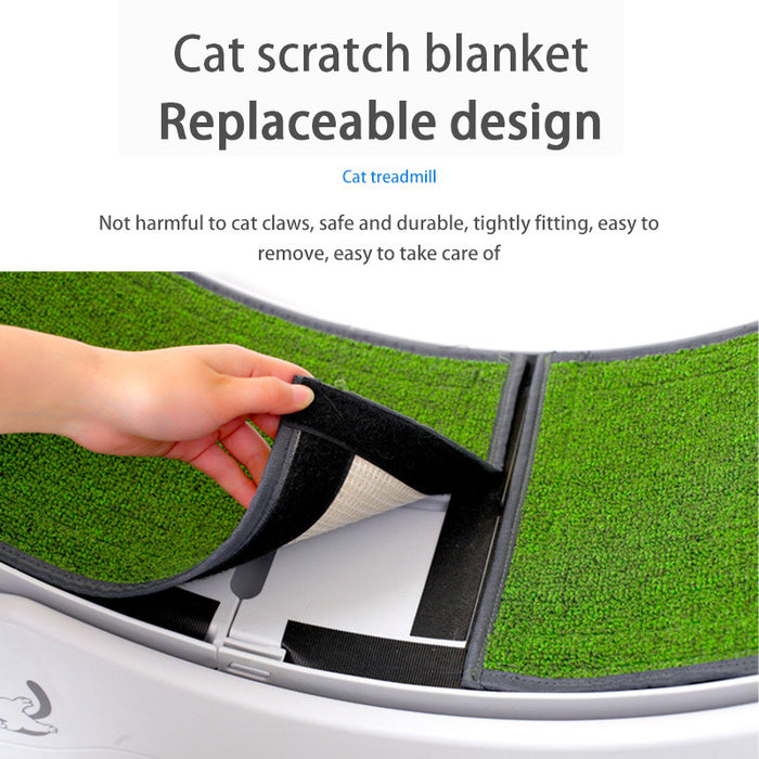 Cat Ferris Wheel Treadmill – Spin, Play & Stay Active