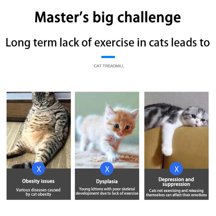 Cat Ferris Wheel Treadmill – Spin, Play & Stay Active