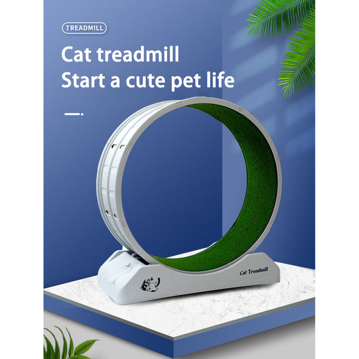 Cat Ferris Wheel Treadmill – Spin, Play & Stay Active