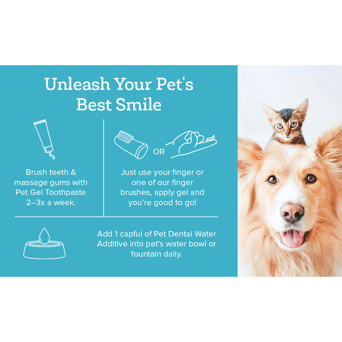 Oxyfresh Premium Pet Dental Kit for Dogs & Cats