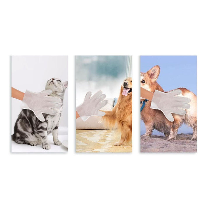 Kojima Pet Cleaning Glove Wipes - 6 pcs