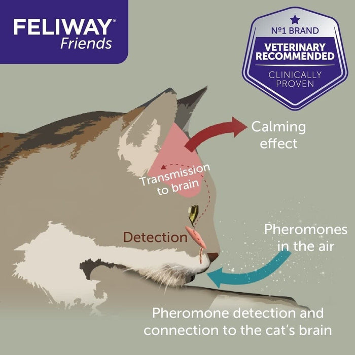 Feliway Friends Diffuser & Refill 48ml (30-Day Starter Kit)