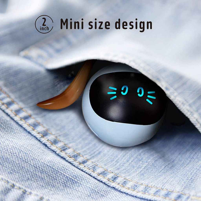 FOFOS 360° Self Rolling Interactive Ball Toy for Cat (Blue)