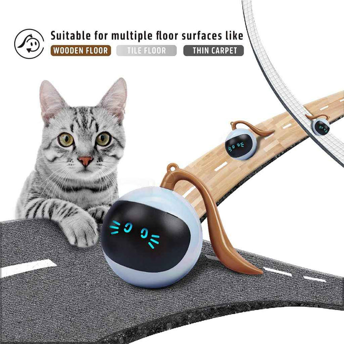 FOFOS 360° Self Rolling Interactive Ball Toy for Cat (Blue)