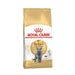 Royal Canin British Shorthair Adult Dry Cat Food 400g